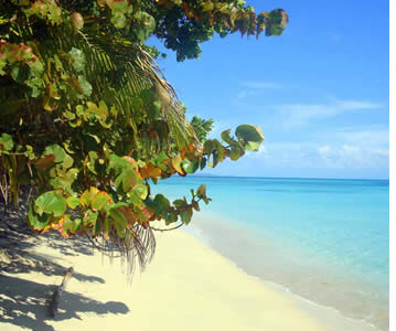 Pristine Beaches in Bocas del Toro, Panama
