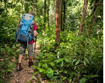 Hiking and Jungle Trekking in Bocas del Toro, Panama